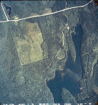 Butler Lake and surrounding area